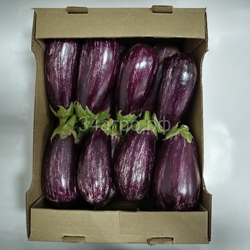 Баклажан ЕГ20003 F1 (EG20003 F1) 50 семян