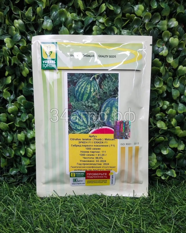 Арбуз Эркен F1 1000 семян копия №1755523563