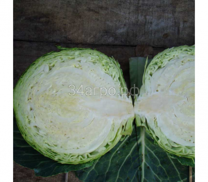 Капуста белокочанная Сир F1 50 семян