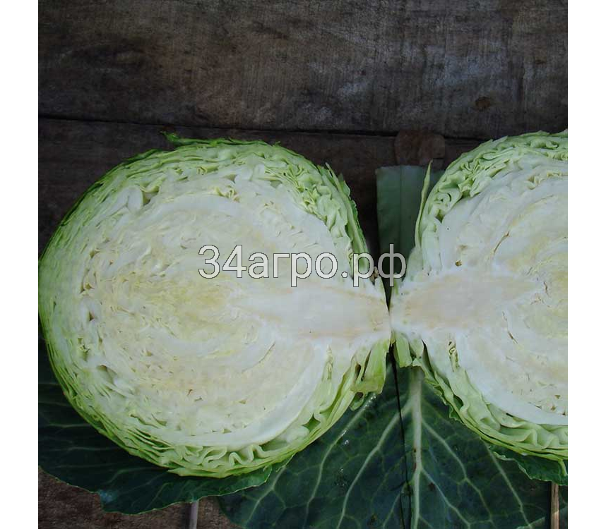 Капуста белокочанная Сир F1 50 семян