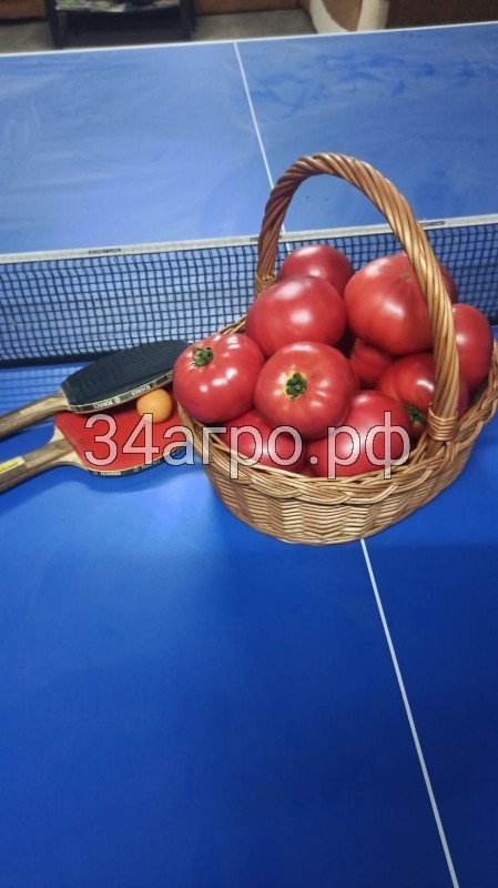 Томат Килато F1 10 семян