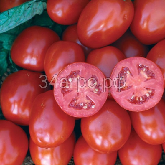 Томат Хайнц 3402 F1 100 семян (Heinz 3402 F1)