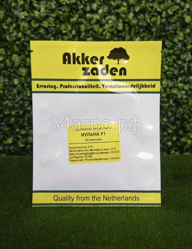 Томат Мулана F1 500 семян