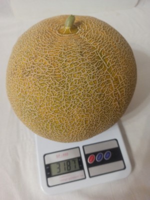 Дыня Ванда F1 (KS 517) 50 семян