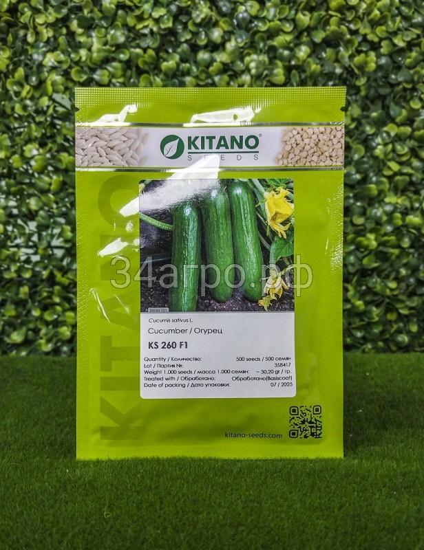 Огурец KS 260 F1 500 семян