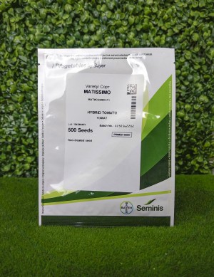 Томат Матиссимо F1 50 семян
