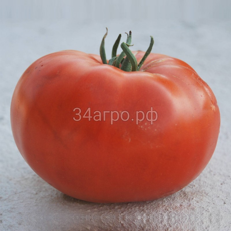 Томат Чудо Рынка 100 гр. копия №1763015743