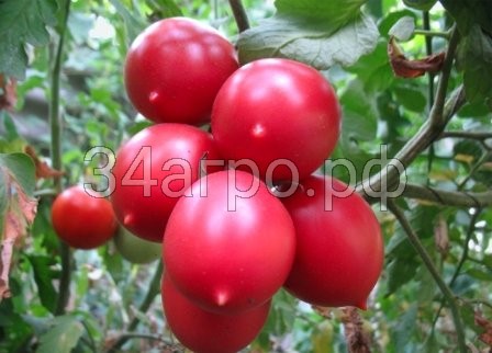 Томат Де Барао розовый 50 гр.