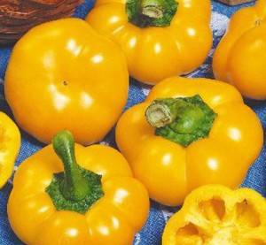 Перец Оранжевый Юбилейный 100 гр.