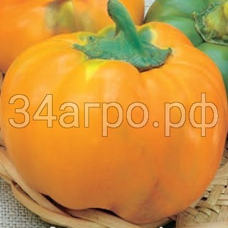 Перец Оранжевый Юбилейный 20 гр.